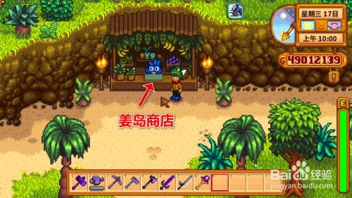 姜岛图文详解攻略 星露谷物语攻略详解姜岛之旅