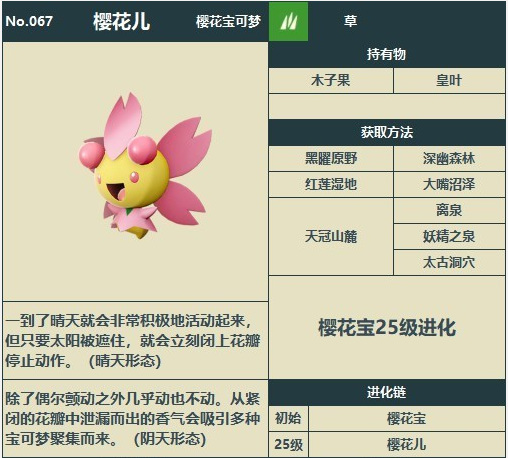 宝可梦阿尔宙斯樱花儿在哪