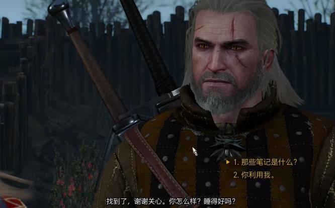 巫师3凯拉是好人吗