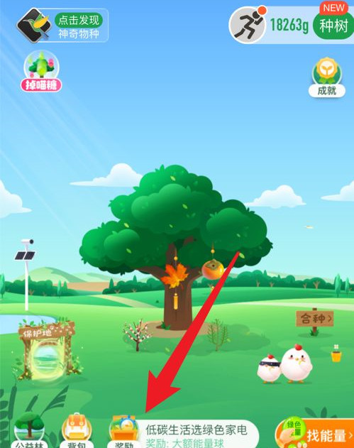 森林精选挂件怎么获得