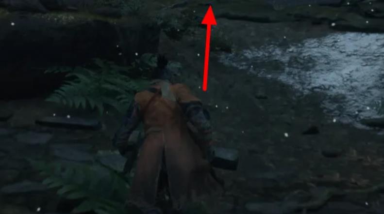 只狼刚开始怎么过