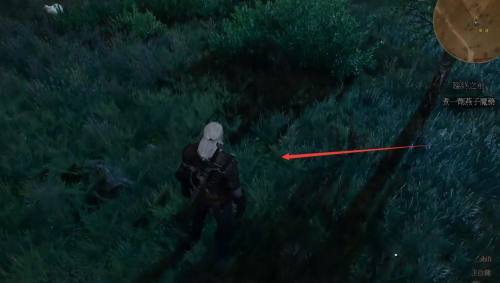 巫师3：狂猎煎一剂燕子魔药怎么过