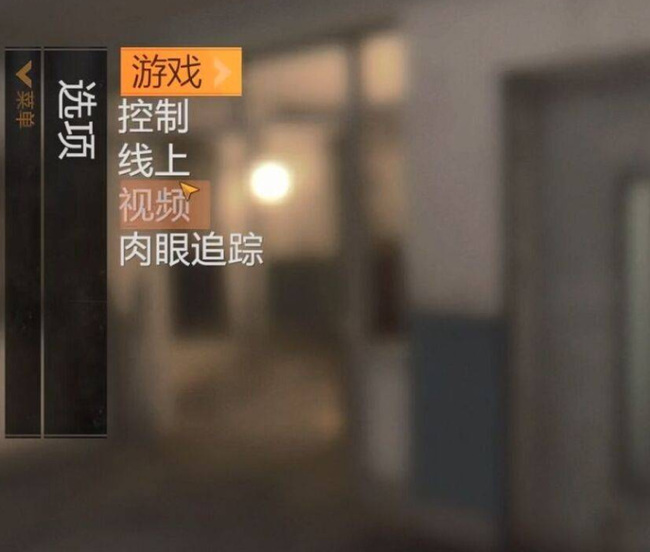 消逝的光芒2怎么调帧数