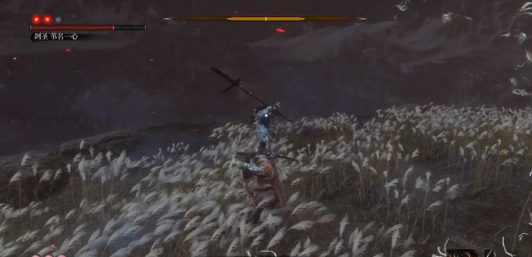 只狼主线boss顺序是什么 只狼影逝二度主线boss挑战攻略流程