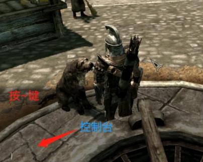 老滚5属性点怎么加