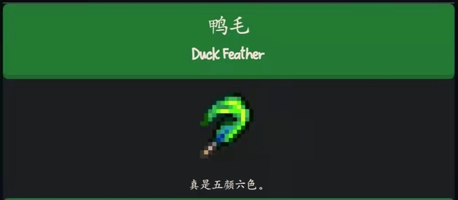 星露谷鸭毛如何获取