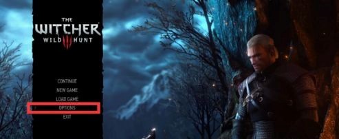 巫师3ns美版没中文怎么办