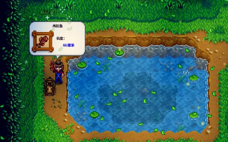 星露谷木跃鱼在哪里钓 星露谷物语中木跃鱼在哪里钓最好