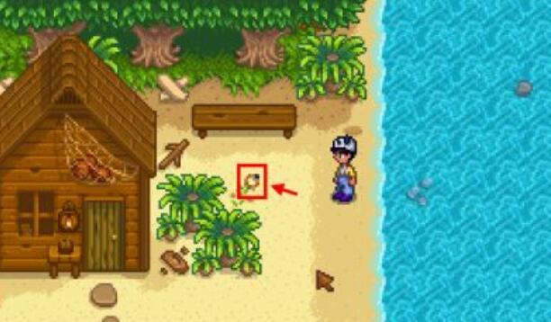 星露谷物语海莉怎么培养 海莉在星露谷物语中的培育方法