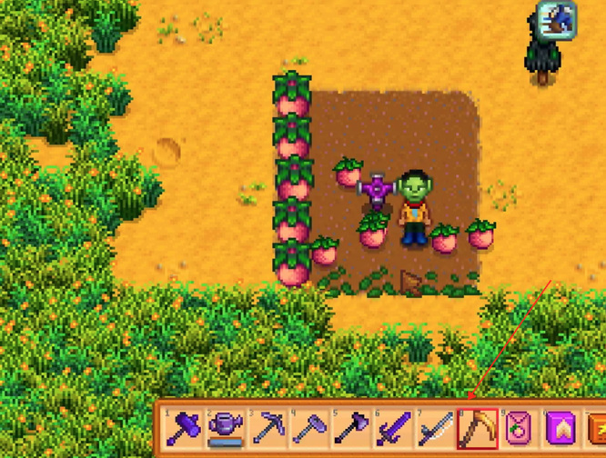 星露谷甜瓜怎么摘