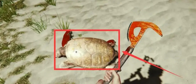 森林淡水怎么获得