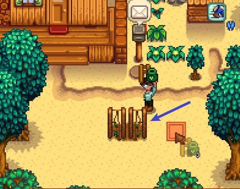 星露谷物语架子从哪获得 星露谷物语架子获取方法