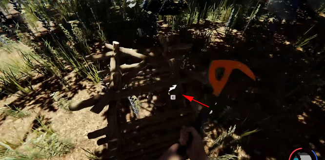 森林抓到的兔子怎么处理