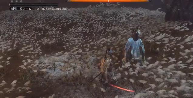 只狼复兴mod增加了什么内容