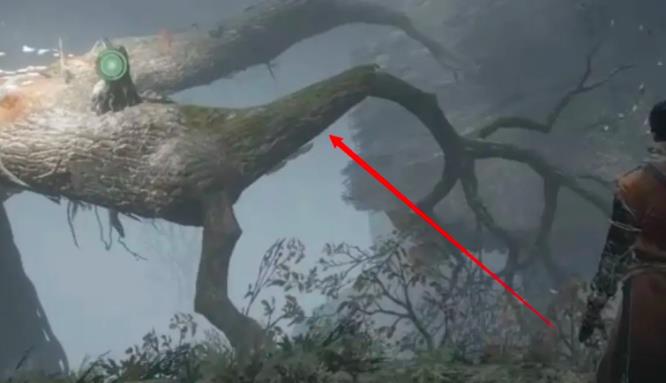 只狼迷雾森林怎么走 迷雾森林路径指引