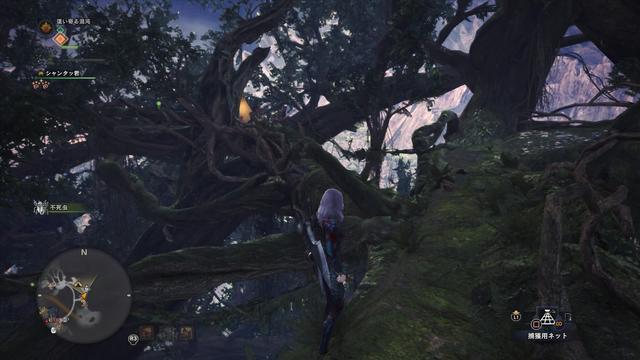 怪物猎人前往设营地是什么意思 怪物猎人世界前往营地打造出强力基地