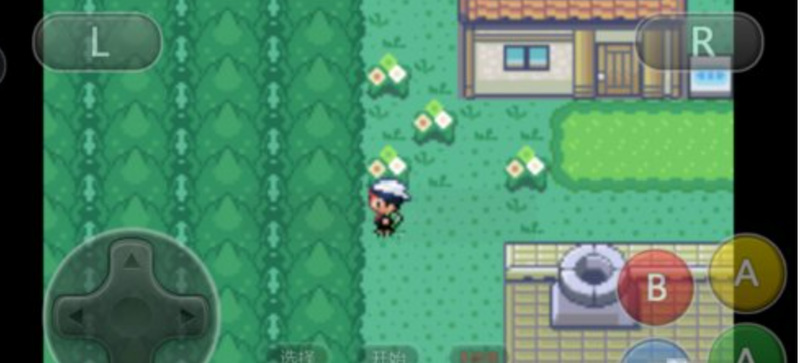 究极绿宝石快速升级代码是什么