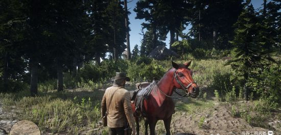 荒野大镖客2(大表哥2)红色阿拉伯马位置在哪 红色马位置在荒野大镖客2中的哪里