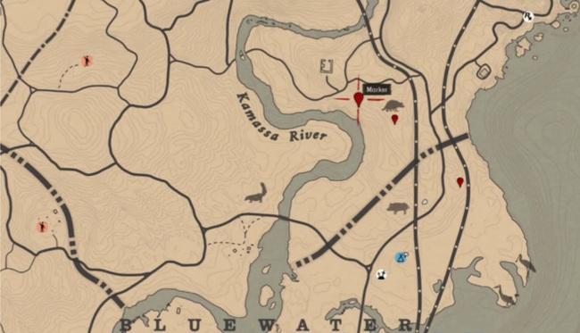 荒野大镖客2(大表哥2)伞菇分布在哪