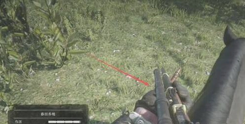 荒野大镖客2(大表哥2)完美皮打猎有什么技巧