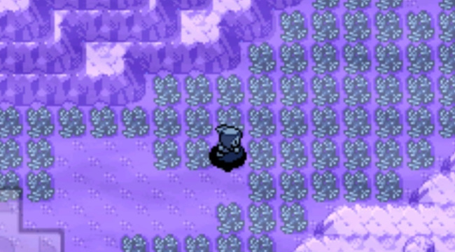 精灵宝可梦：究极绿宝石古空棘鱼在哪里 精灵宝可梦究极绿宝石古空棘鱼在哪里