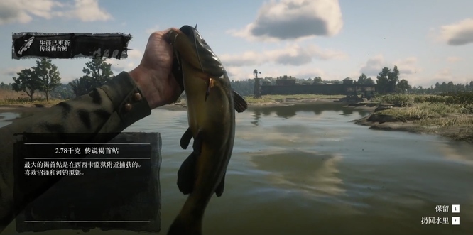 荒野大镖客2(大表哥2)河内鲶鱼怎么钓 荒野大镖客2钓河内鲶鱼攻略分享