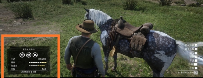 荒野大镖客2(大表哥2)狐步马和阿拉伯马哪个好