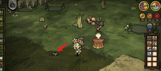 饥荒联机版巨树种子怎么获得