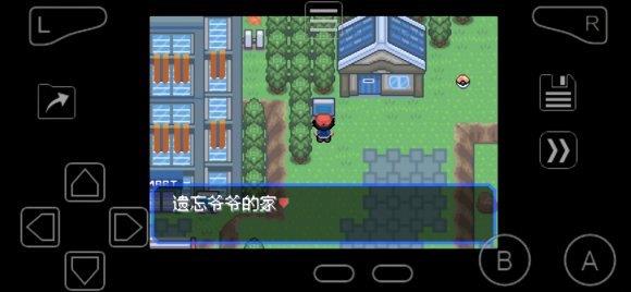 口袋妖怪绿宝石遗忘技能的人在哪