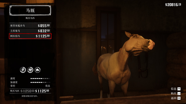 荒野大镖客2(大表哥2)最好的马在哪找 在荒野大镖客2中如何找到最好的马