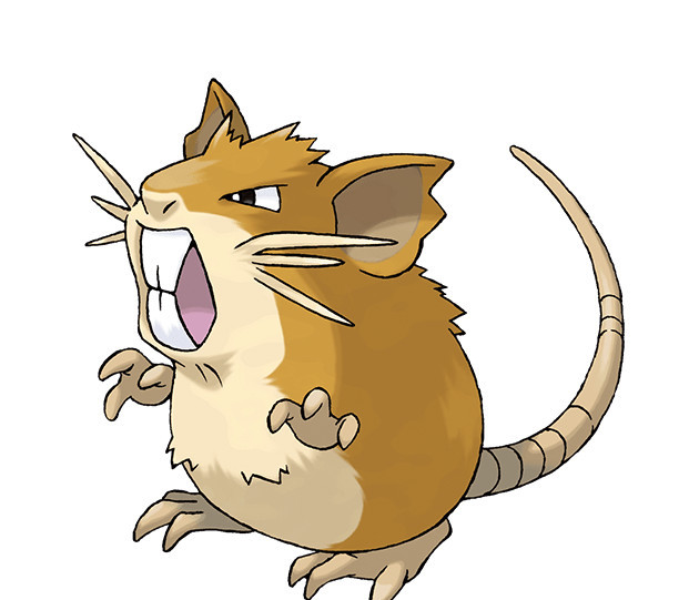 精灵宝可梦：究极绿宝石拉达多少级学会蛮干技能