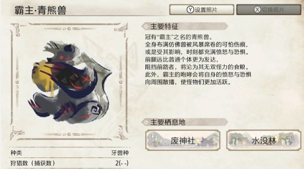 请介绍霸主.青熊兽的生态、肉质以及有效异常状态