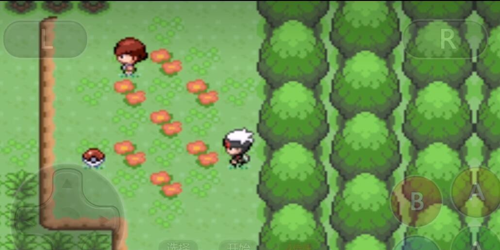 精灵宝可梦:究极绿宝石特殊结晶有什么用 究极绿宝石的神奇用途迷你宠物究极绿宝石