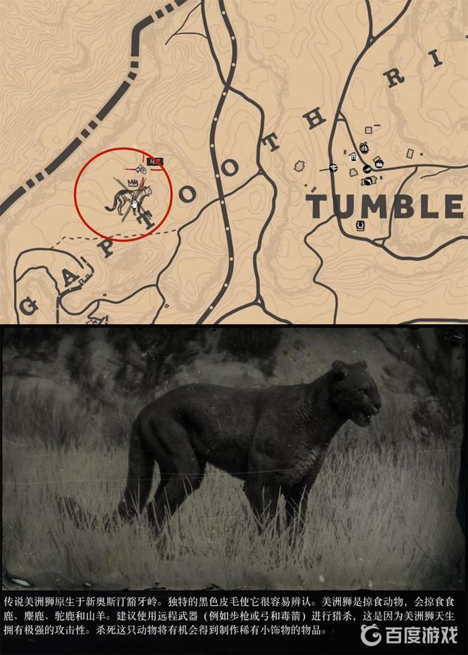 荒野大镖客2(大表哥2)传说动物位置一览表有哪些 荒野大镖客2动物位置一览表