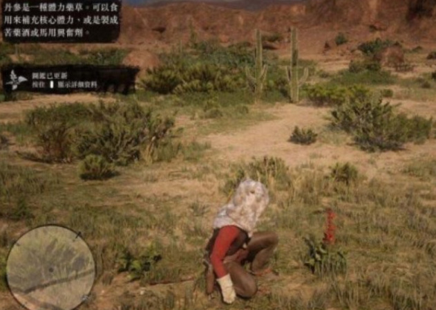 荒野大镖客2(大表哥2)丹参位置在哪 荒野大镖客2中丹参在哪里