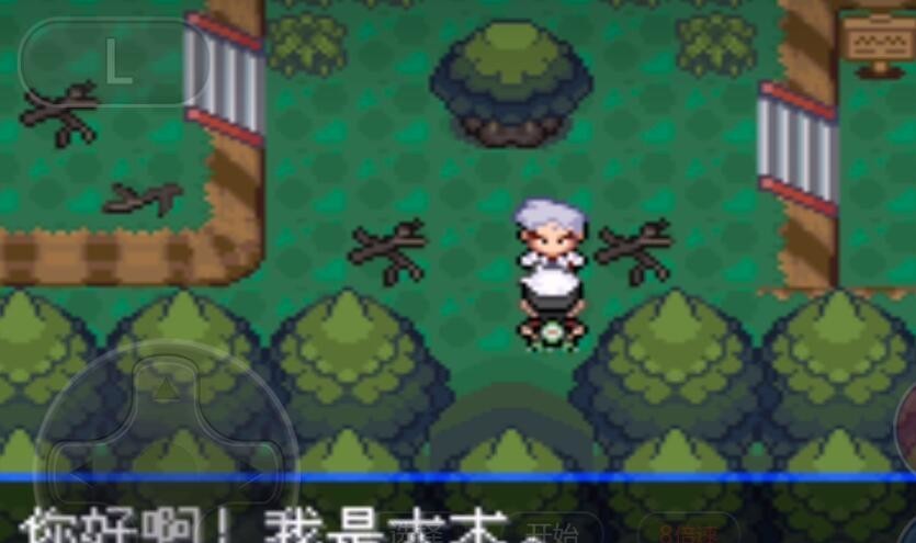 精灵宝可梦:究极绿宝石特殊结晶有什么用 究极绿宝石的神奇用途迷你宠物究极绿宝石