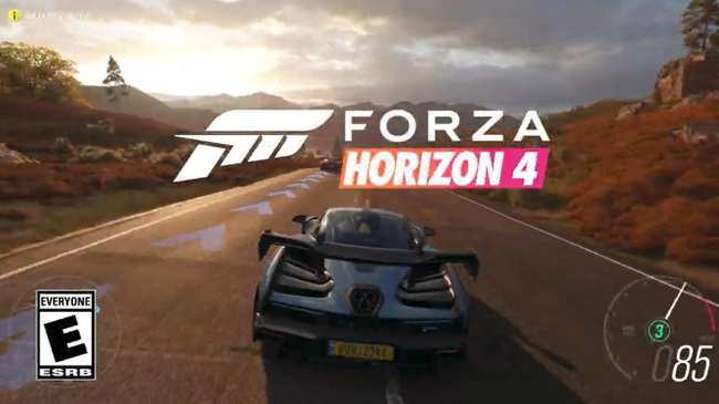 地平线4极光在哪里看