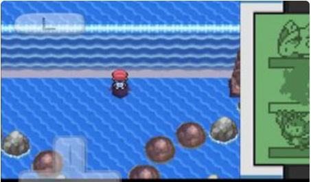 绿宝石爱心鱼在哪抓