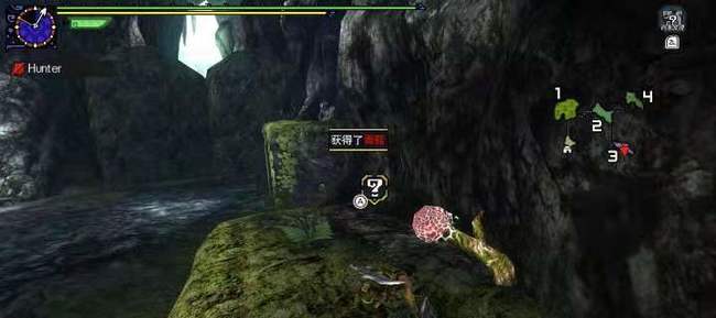 怎样调和恢复药