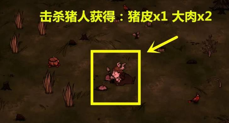 饥荒联机版猪人怎么打 饥荒联机版攻略如何击败猪人