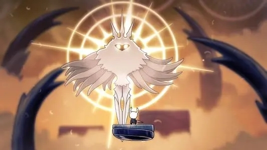 空洞骑士辐光在哪