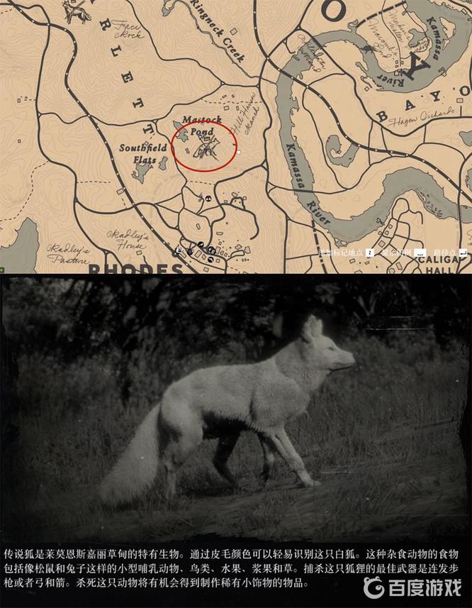 荒野大镖客2(大表哥2)传说动物位置一览表有哪些 荒野大镖客2动物位置一览表