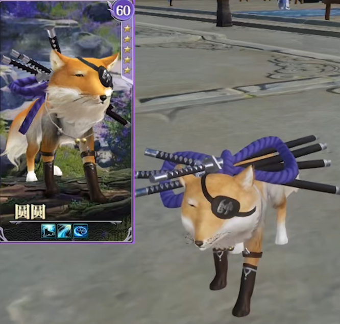 沧海明月珠摸什么宠物好啊 沧海明月珠推荐的宠物选择指南