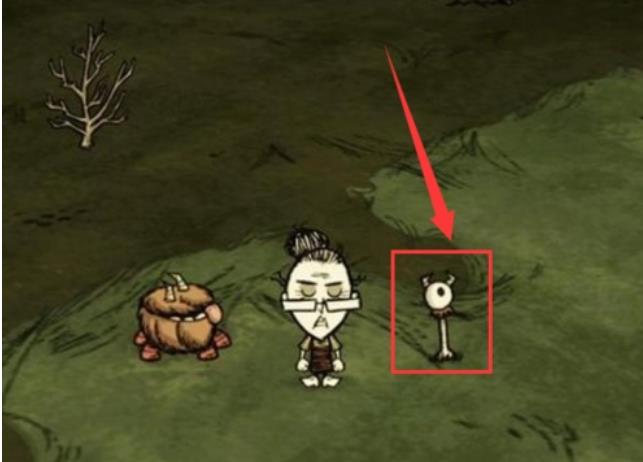 饥荒眼骨丢了在地图能看见吗