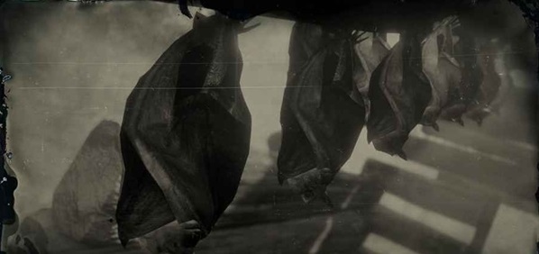 荒野大镖客2(大表哥2)小棕蝠位置在哪