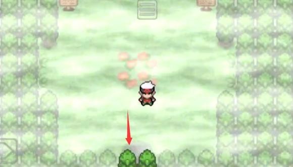 口袋妖怪究极绿宝石迷途之森怎么走 究极绿宝石森林迷途