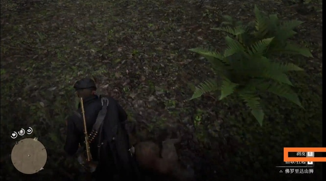 荒野大镖客2(大表哥2)线上佛罗里达山狮能做什么