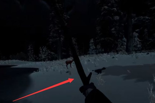 荒野大镖客2(大表哥2)浣熊用什么打