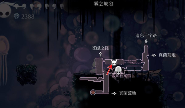 空洞骑士雾之峡谷的地图在哪买