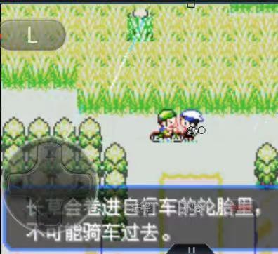 精灵宝可梦：究极绿宝石怎么从紫堇市到下一个市 精灵宝可梦究极绿宝石的旅程